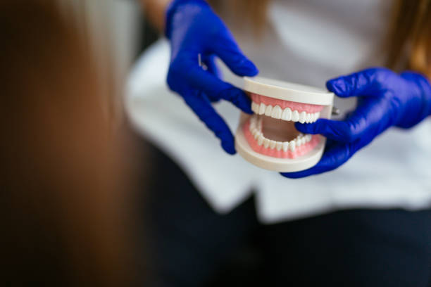 Best Preventive Dentistry  in Roanoke, IL